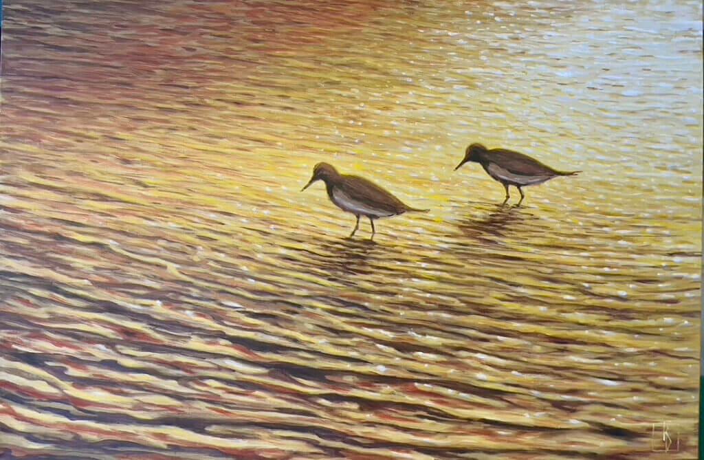 Shorebirds in the Light